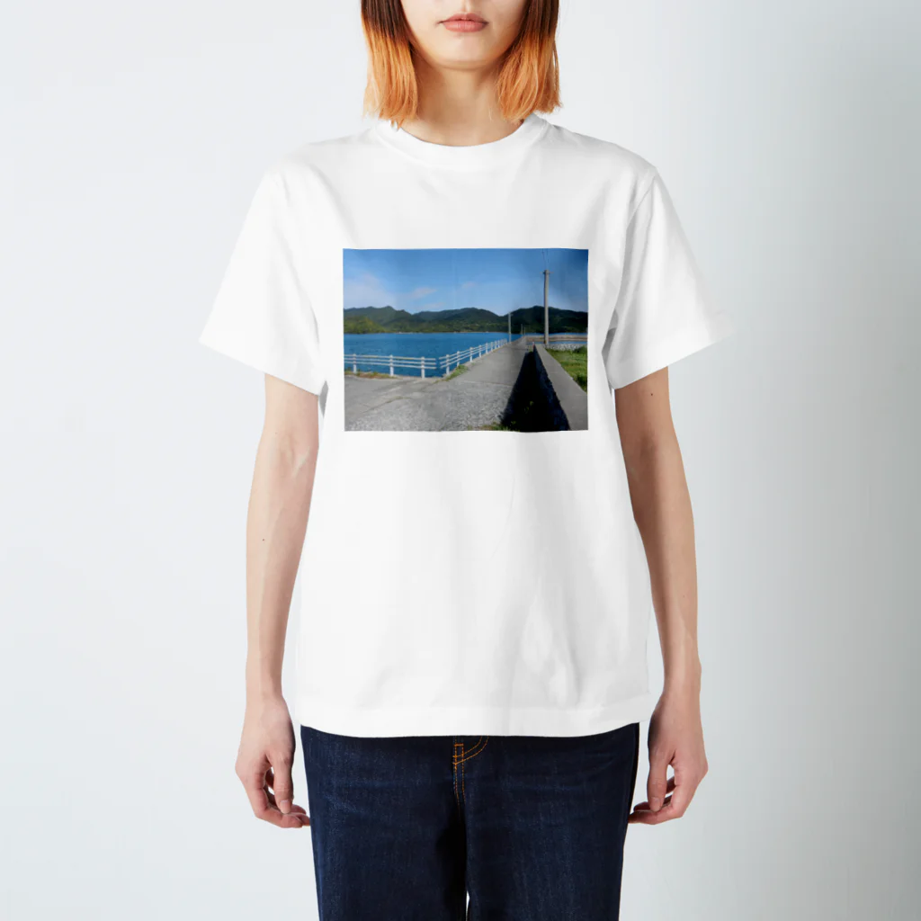 ナ月のどこかの海 スタンダードTシャツ