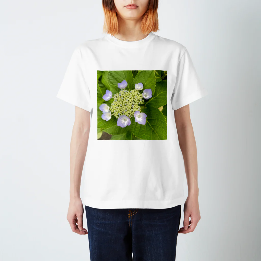 ばりこ@なりこ@ポジティブの咲きはじめの紫陽花 スタンダードTシャツ