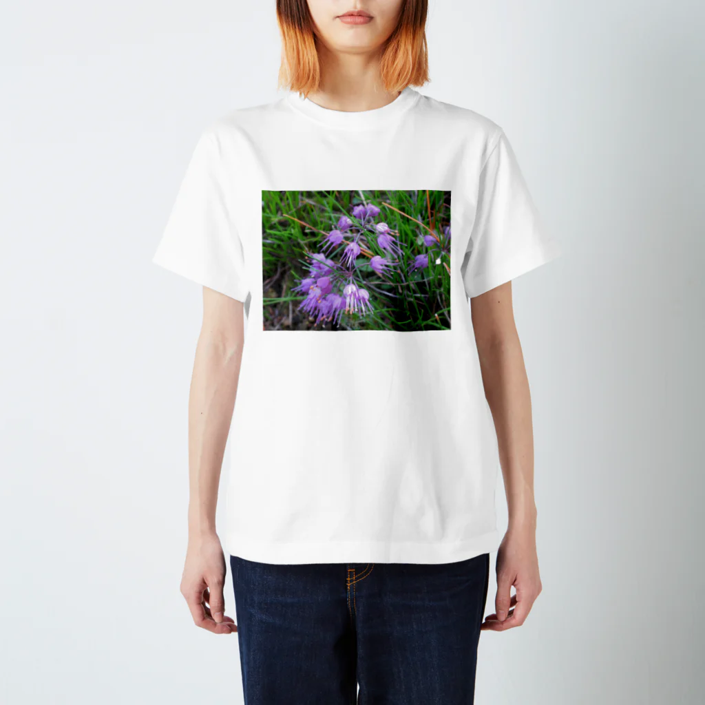 有川　弘治の夏 Regular Fit T-Shirt