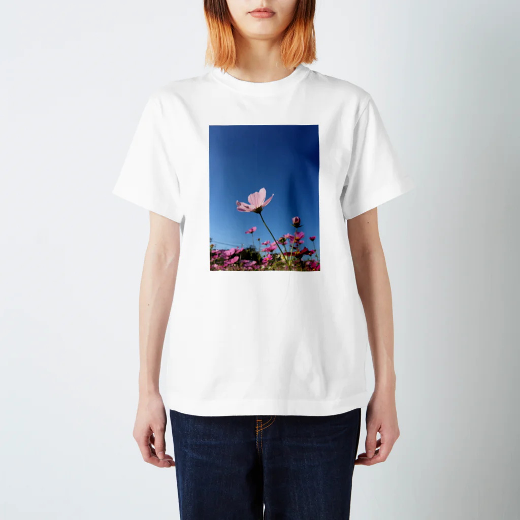 雫の中の世界の空と秋桜 Regular Fit T-Shirt