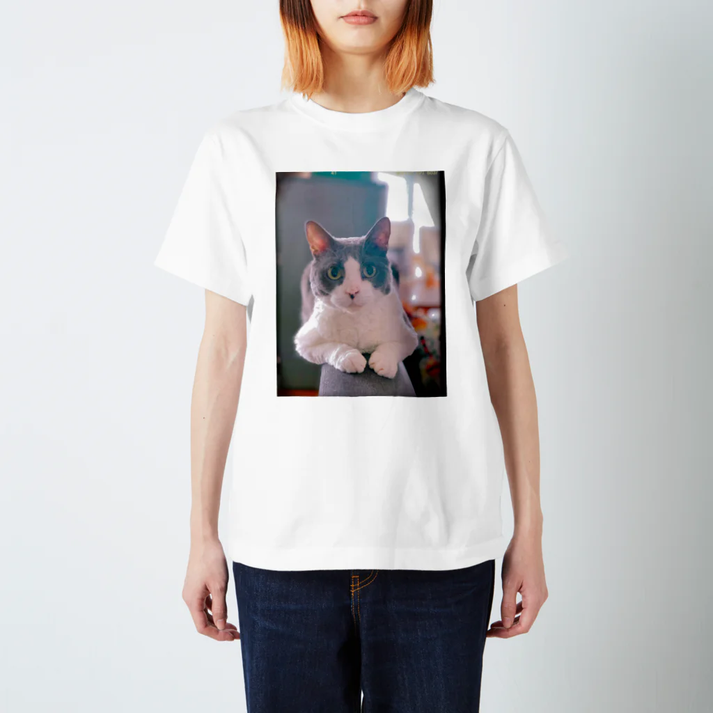 Rock in Catsの猫毛団のぽんちゃん スタンダードTシャツ