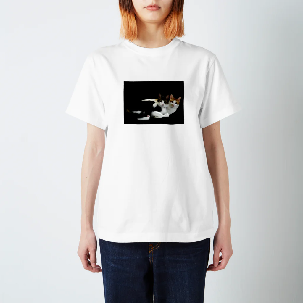 mrkwmrkのウチのにゃんず Regular Fit T-Shirt