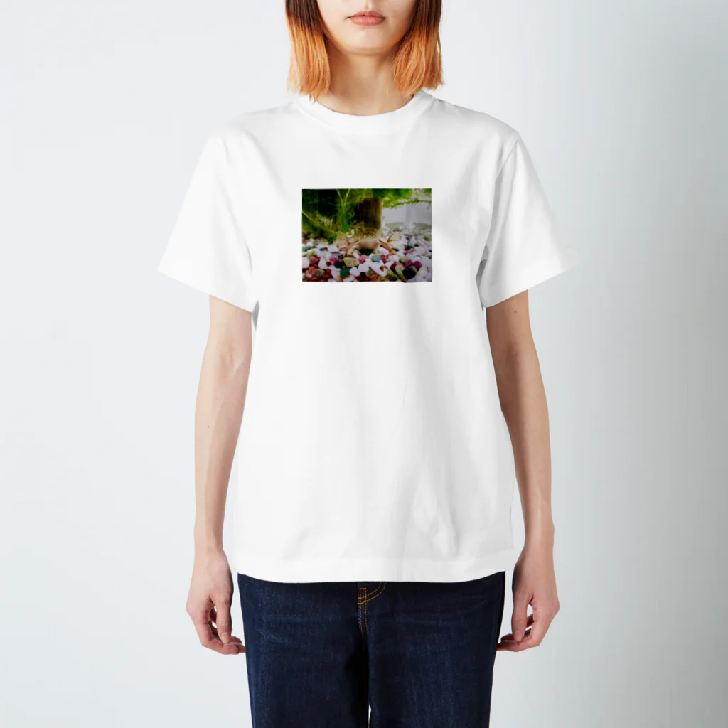 ふーーーのゼノパス Regular Fit T-Shirt