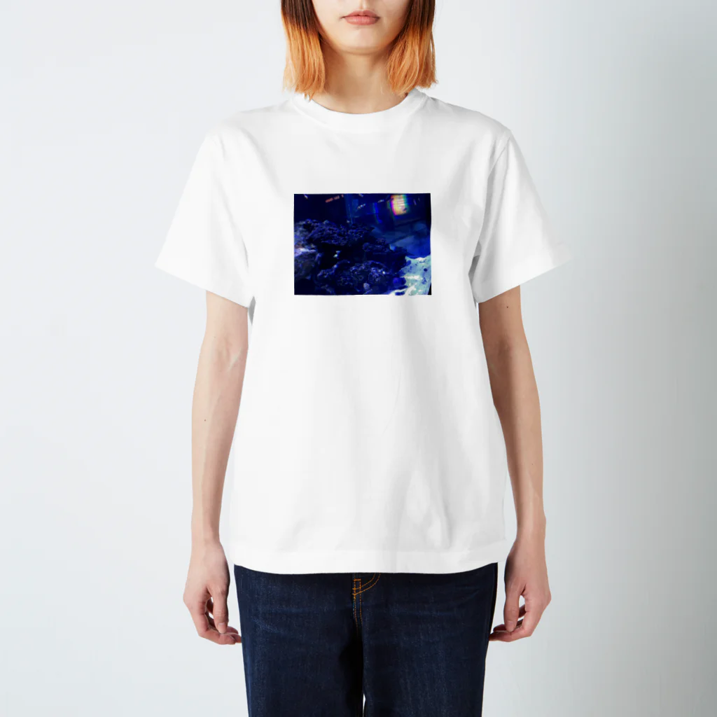 mのBLUE スタンダードTシャツ