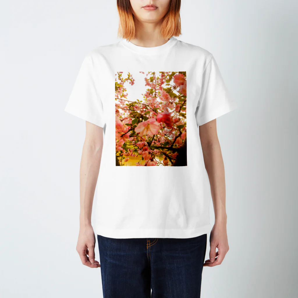 fukigenのSweet 2014 Regular Fit T-Shirt