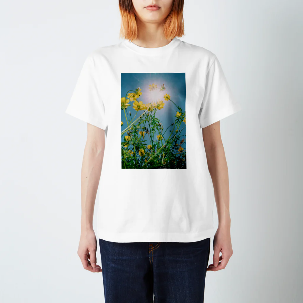 M.AjiroのFloral Composition No.5 Regular Fit T-Shirt