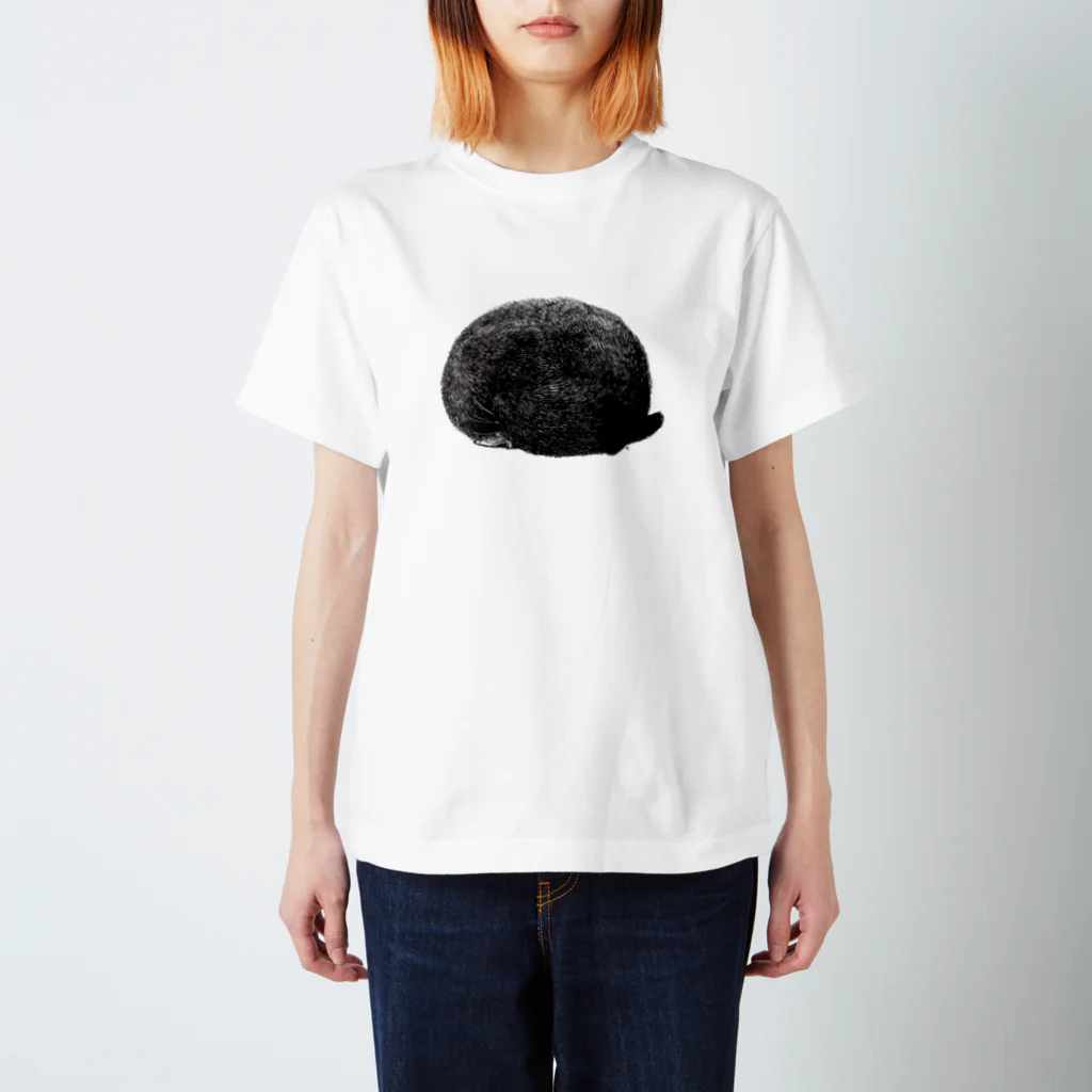 segasworksのたぶんねこ Regular Fit T-Shirt