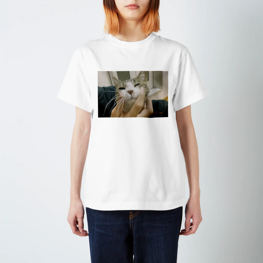 は！のアカウントのえもねこ Regular Fit T-Shirt