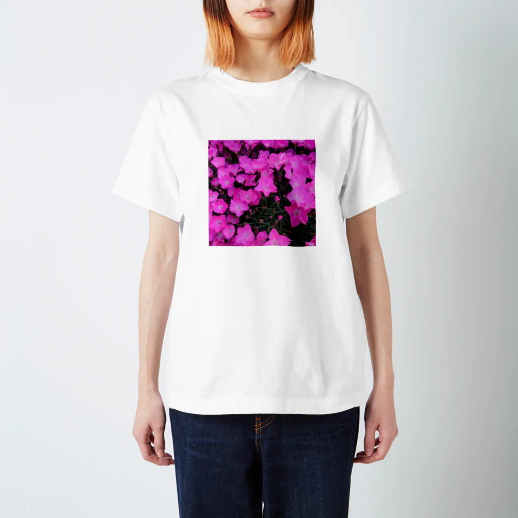 ひかわまことの撫子 Regular Fit T-Shirt