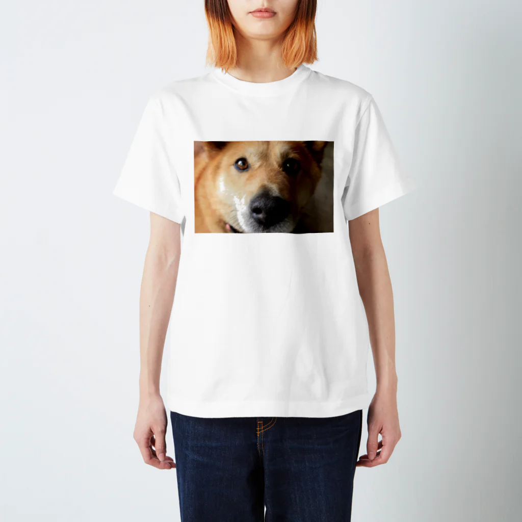 Tadakuni TaniのBow-wow crush スタンダードTシャツ