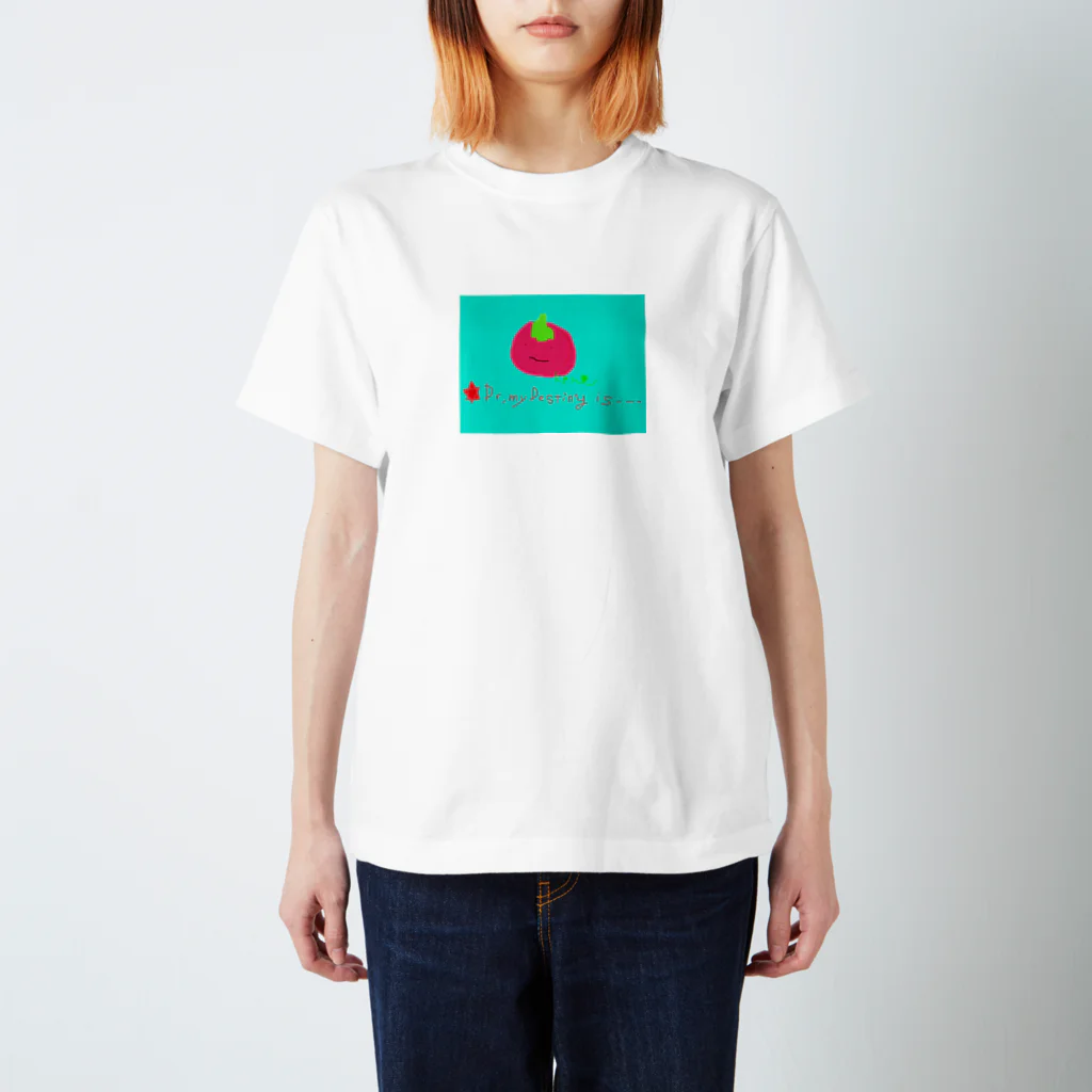 DREAMERの雑貨屋さんの🍅 スタンダードTシャツ