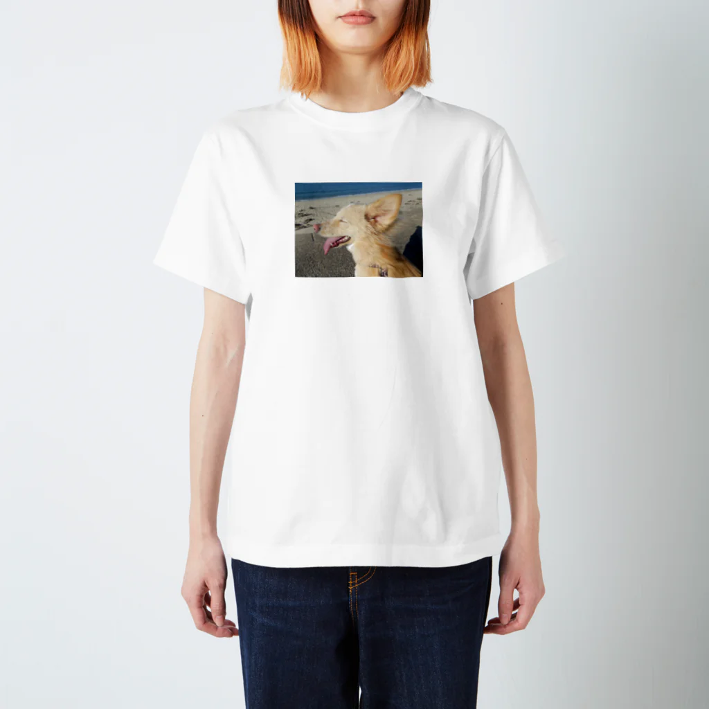 tenderdogの海風～ スタンダードTシャツ