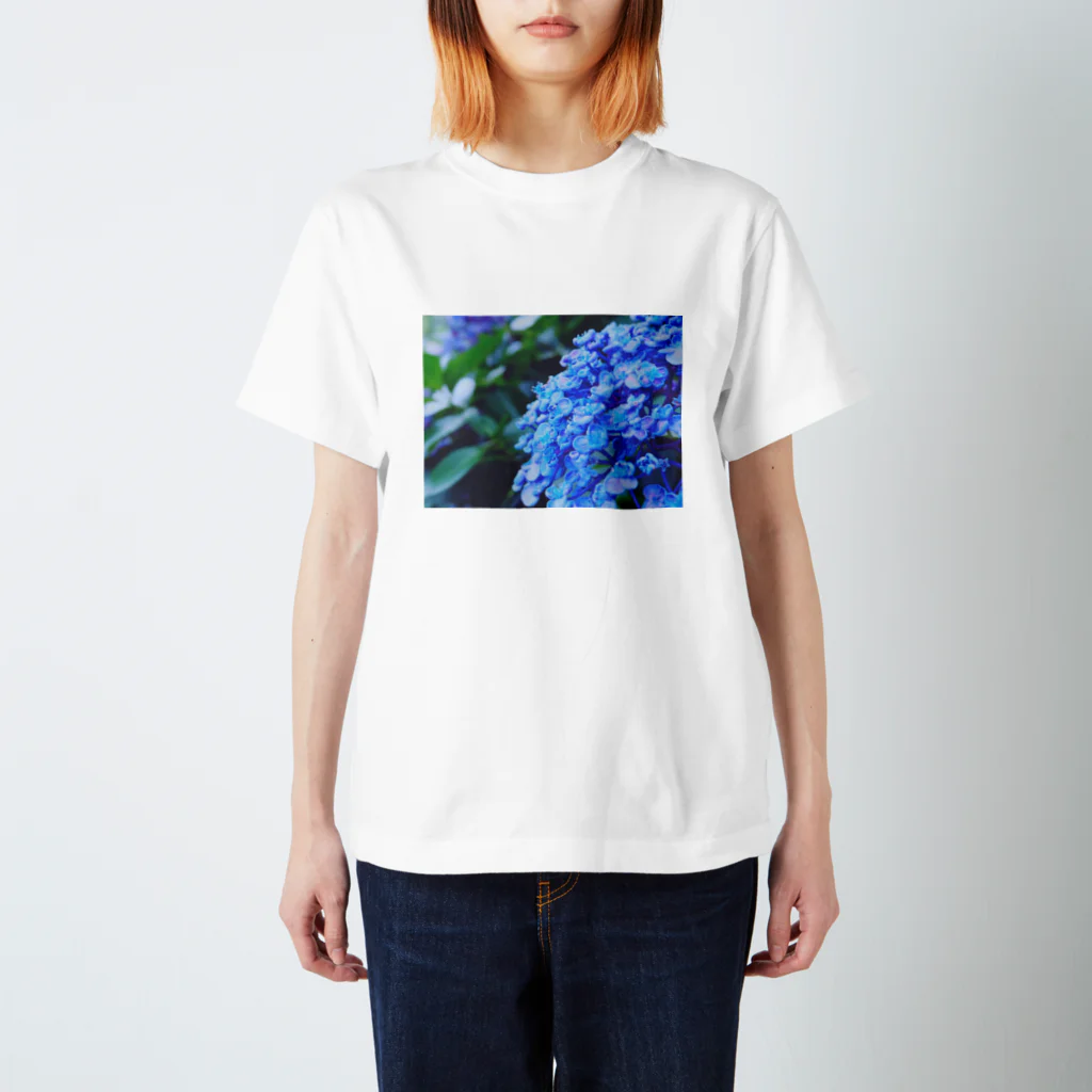 SHOPマニャガハの渦紫陽花(ウズアジサイ) スタンダードTシャツ