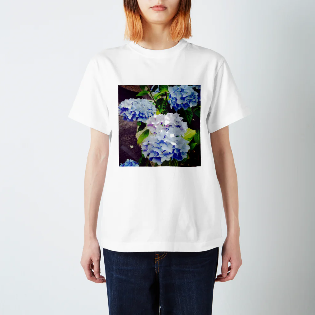 さえかの紫陽花。 スタンダードTシャツ