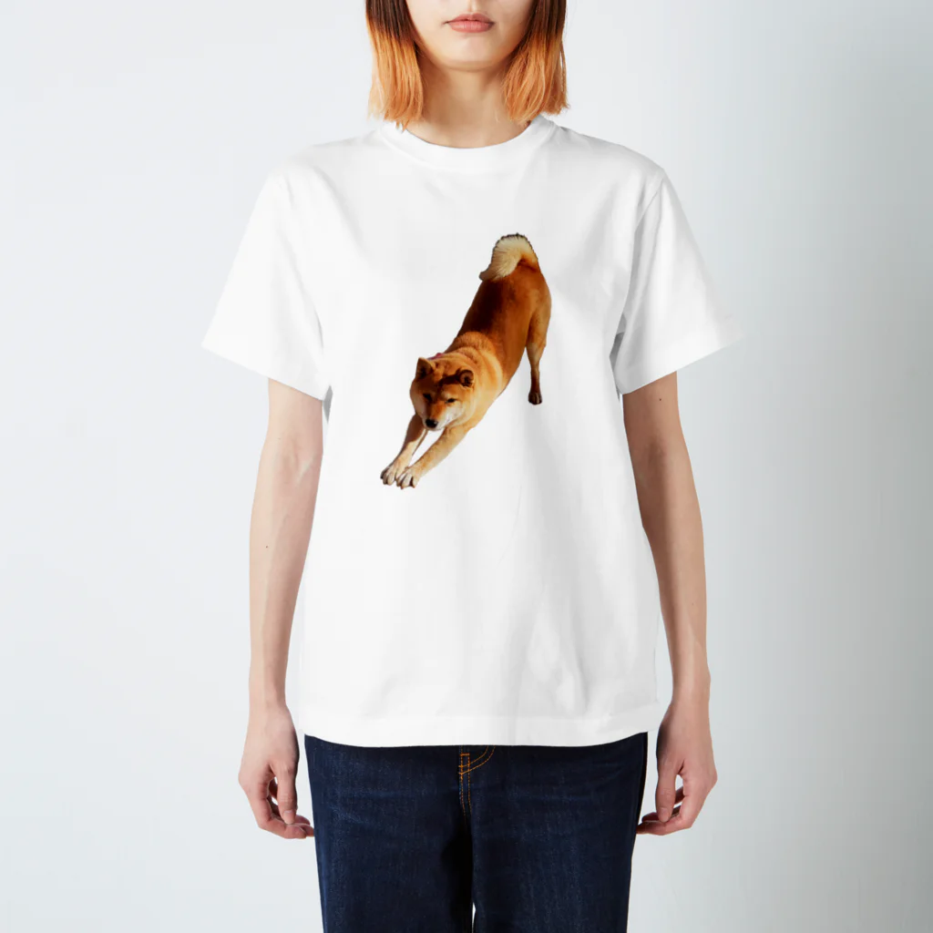 柴犬しばわんこhana873の伸びしてる柴犬(のびしてるしばいぬ) スタンダードTシャツ