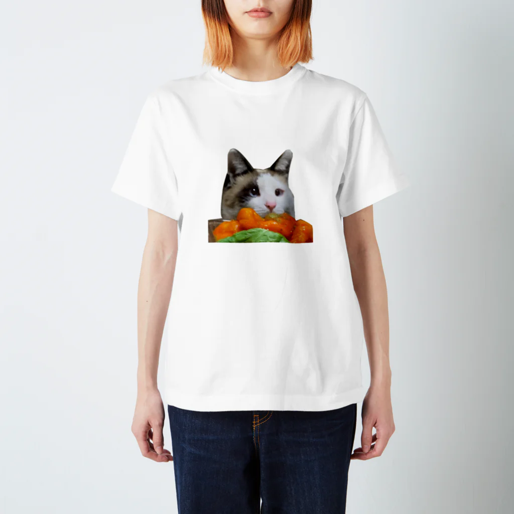 sadaharumofumofuのエビ春 スタンダードTシャツ