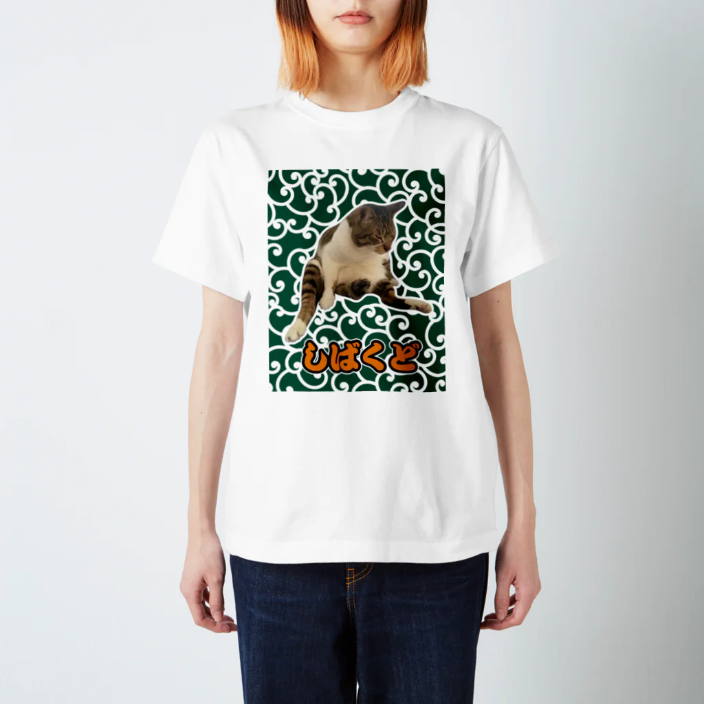 保護猫支援ショップ・パール女将のお宿のしばくどニャンコ Regular Fit T-Shirt