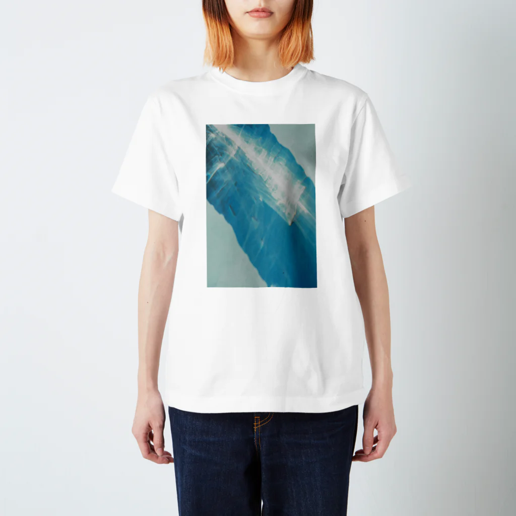 asayanのスケスケ背骨 Regular Fit T-Shirt