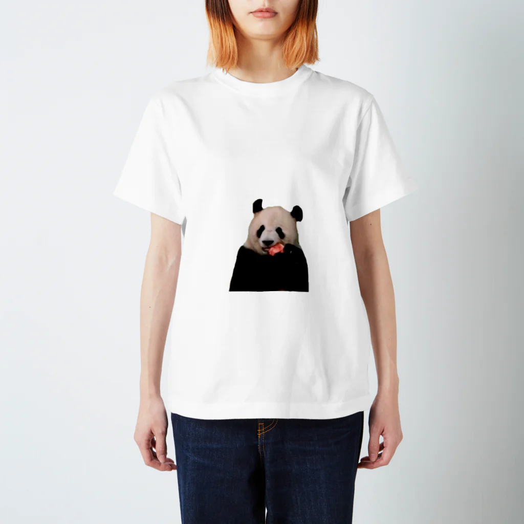 HKG パンダのパンダ　と　スイカ スタンダードTシャツ