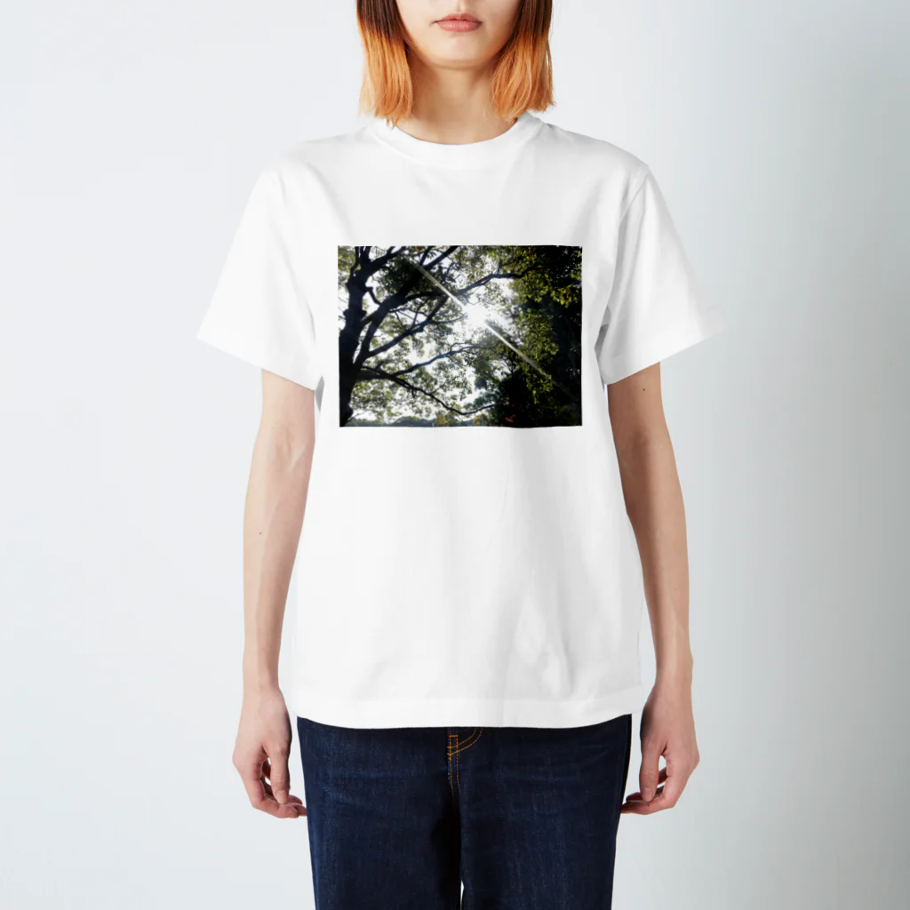 HOME-HASUの光 Regular Fit T-Shirt