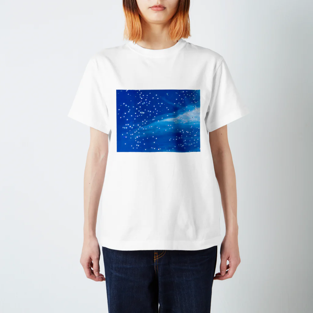 éclair 1518 : えくれあ 一期一会のコスモ スタードット⭐️ スタンダードTシャツ