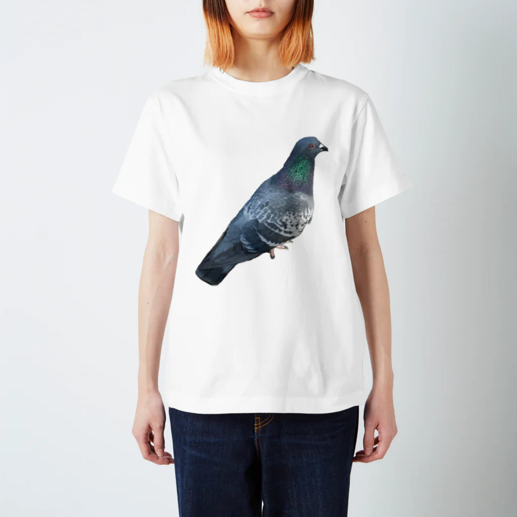 ねこの写真館の常盤の鳩後輩 スタンダードTシャツ