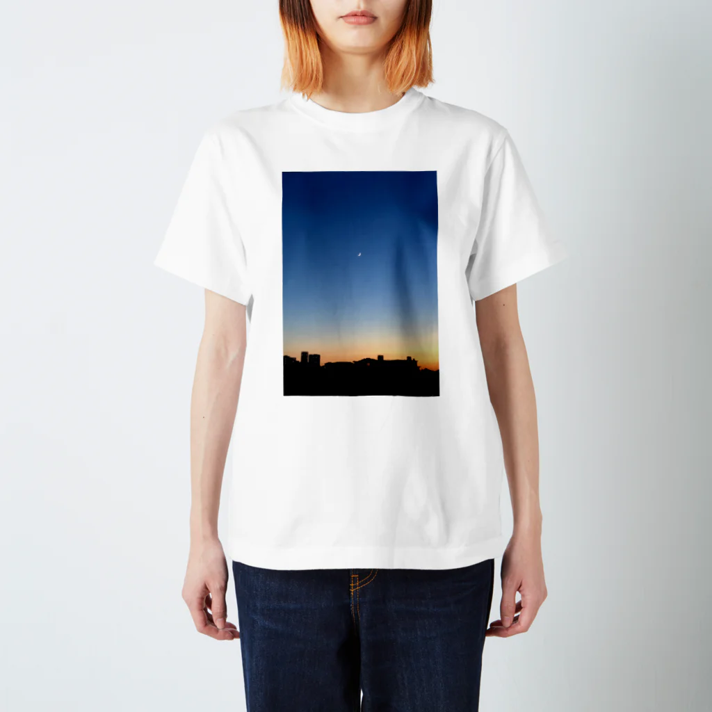 Hayco Art Studioの夕陽 スタンダードTシャツ