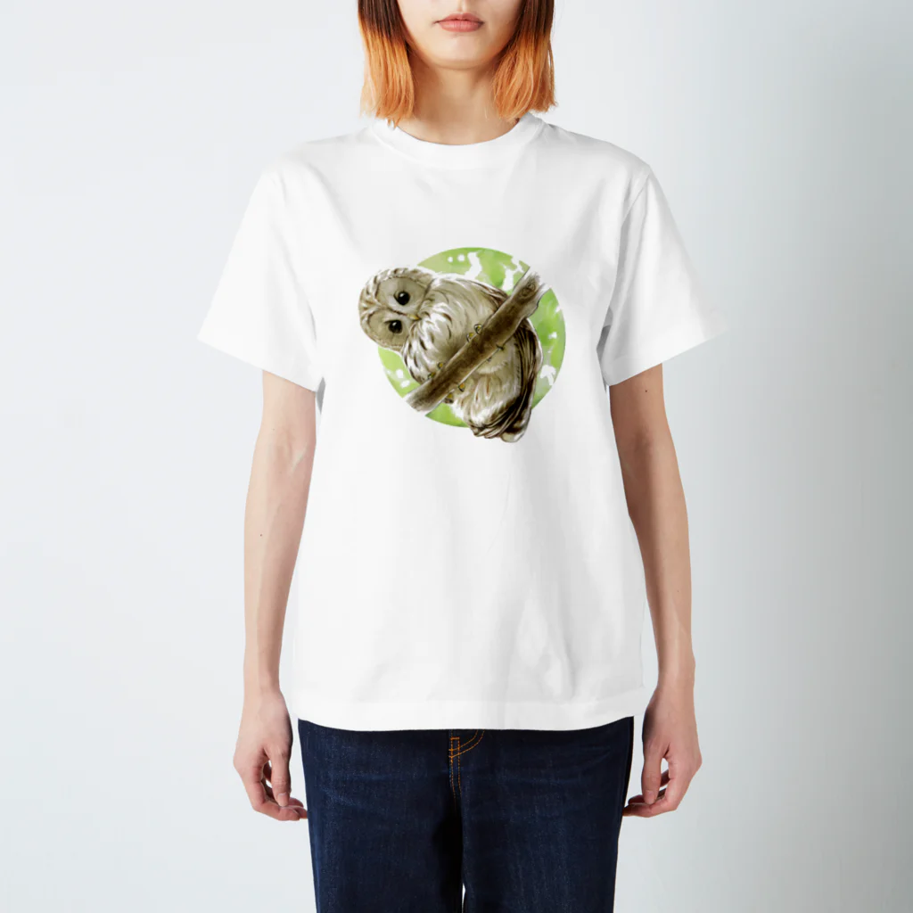 鵄　〜フクロウまみれ〜のじーっとフクロウ Regular Fit T-Shirt