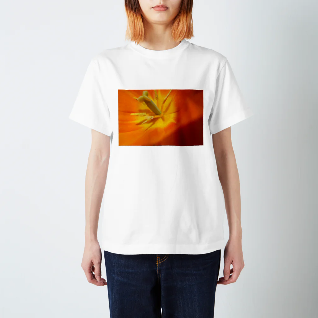 椎茸のオレンジ スタンダードTシャツ