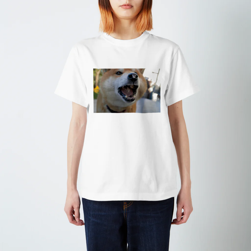 nami_takahashi73の柴犬の暴食後 スタンダードTシャツ