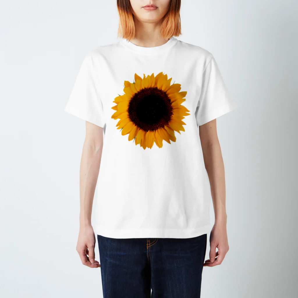 サクラのひまわり Tシャツ Regular Fit T-Shirt