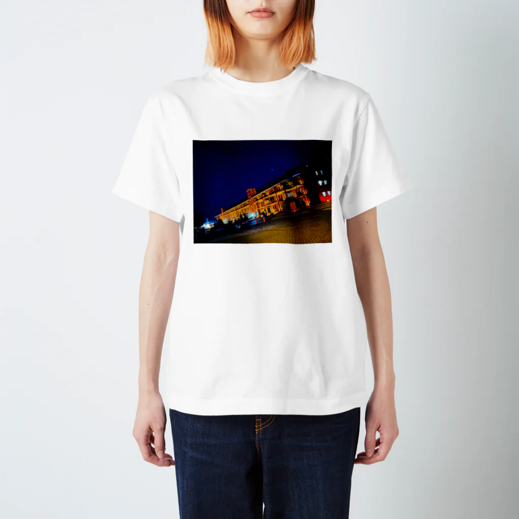 ppmの映えレンガ Regular Fit T-Shirt
