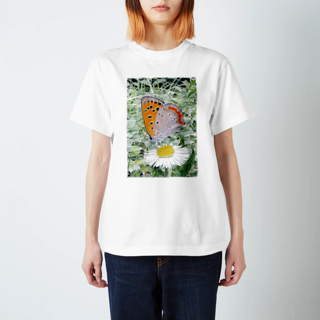 イラスト９４０馬力のベニシジミのTシャツ Regular Fit T-Shirt