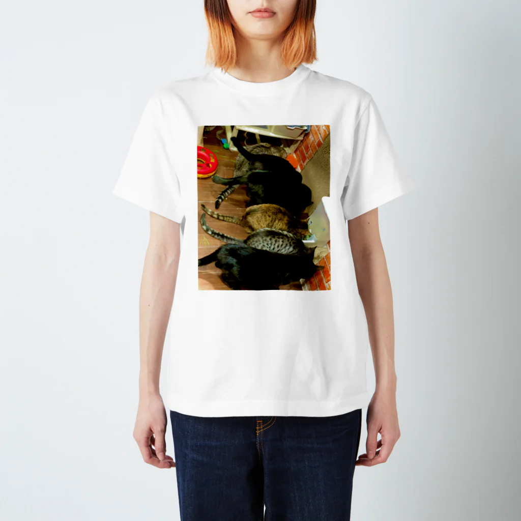 竹内秀明の猫密 スタンダードTシャツ