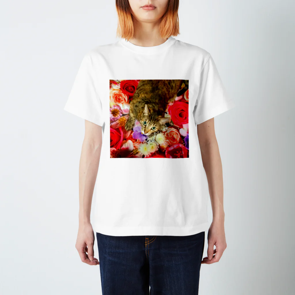 竹内秀明の花猫 スタンダードTシャツ