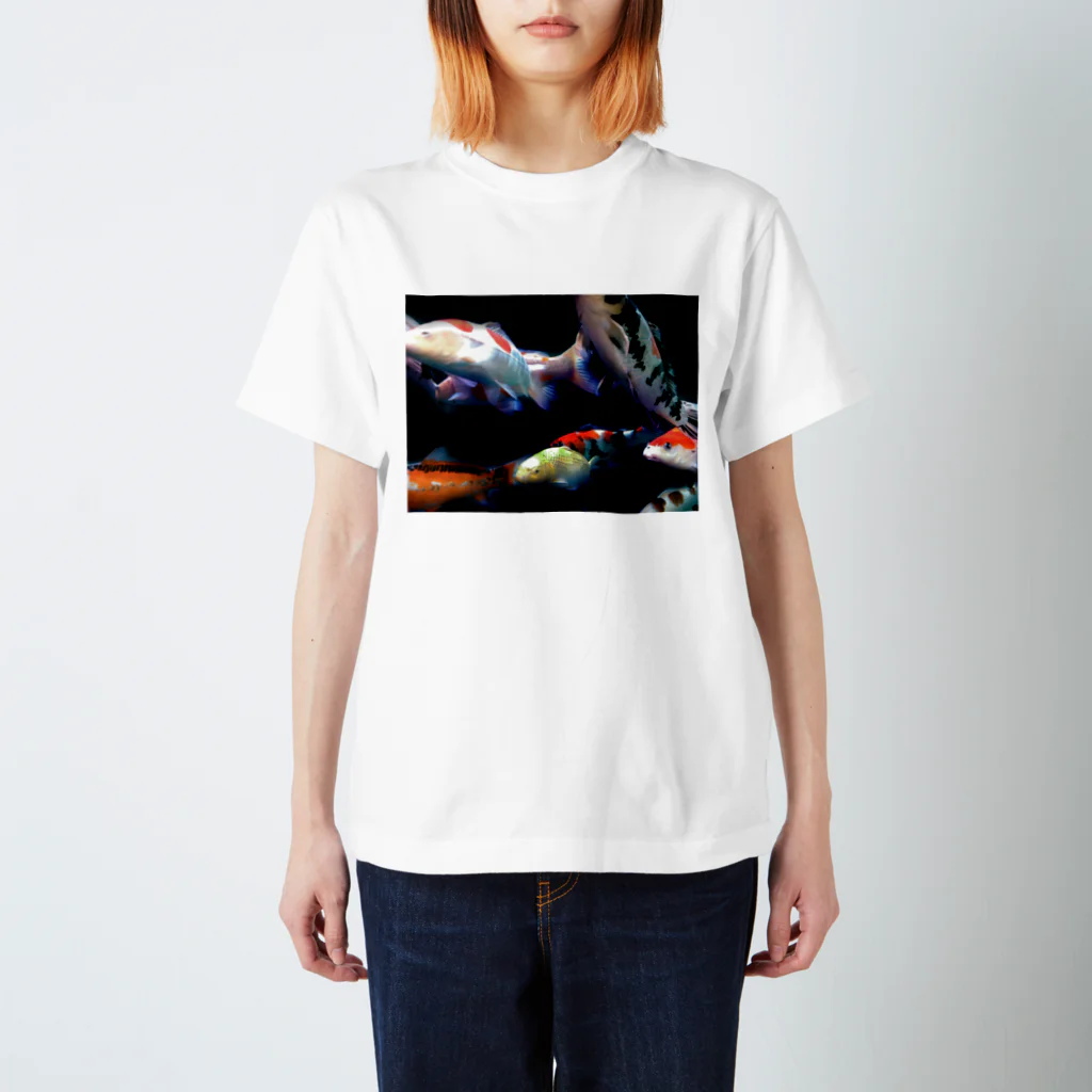 momenkoTWの錦鯉たち Regular Fit T-Shirt