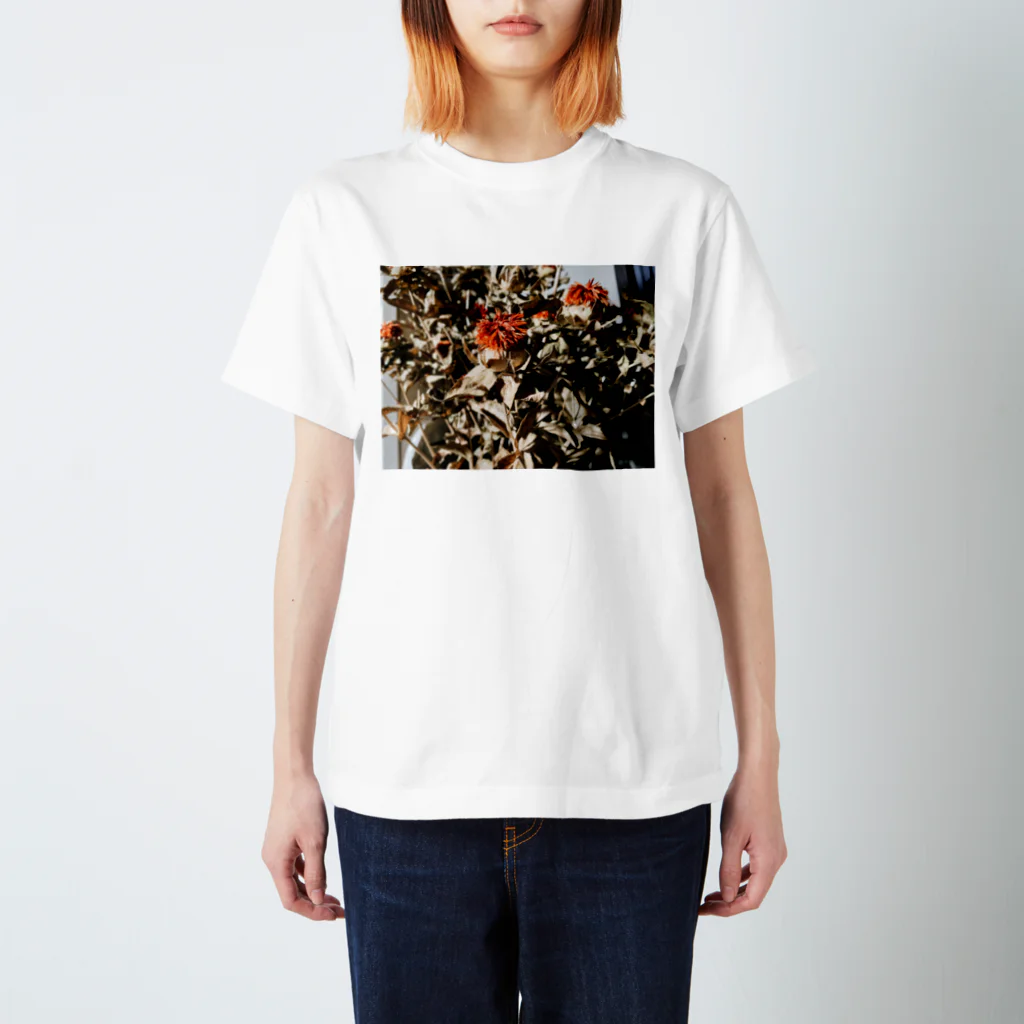 shindeyuku.のBeni flower スタンダードTシャツ