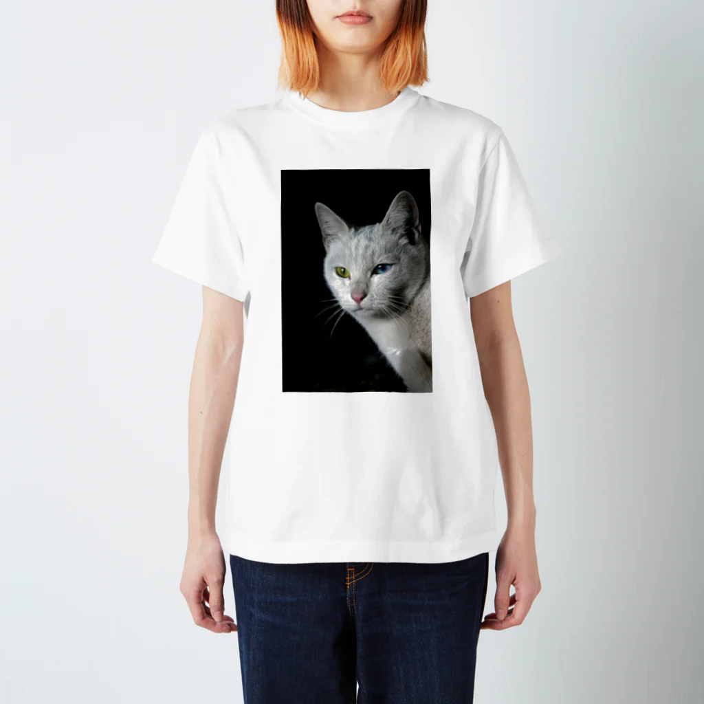 シッポ追いの猫写真店のオッドアイ スタンダードTシャツ
