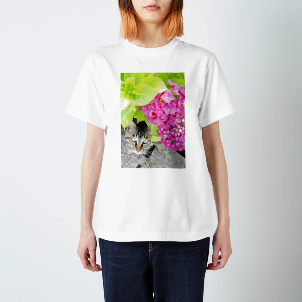 シッポ追いの猫写真店の夏もなお、つきぬ心の紫陽花の スタンダードTシャツ