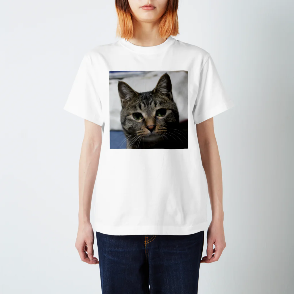 ねことらにゃんにゃん軍団のすまし顔 たぬきち Regular Fit T-Shirt