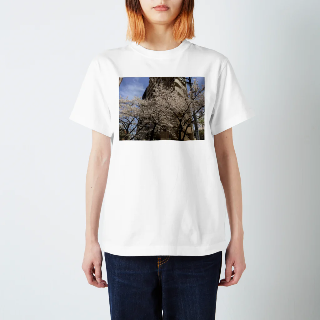 無軌道計画の桜の或る風景 スタンダードTシャツ