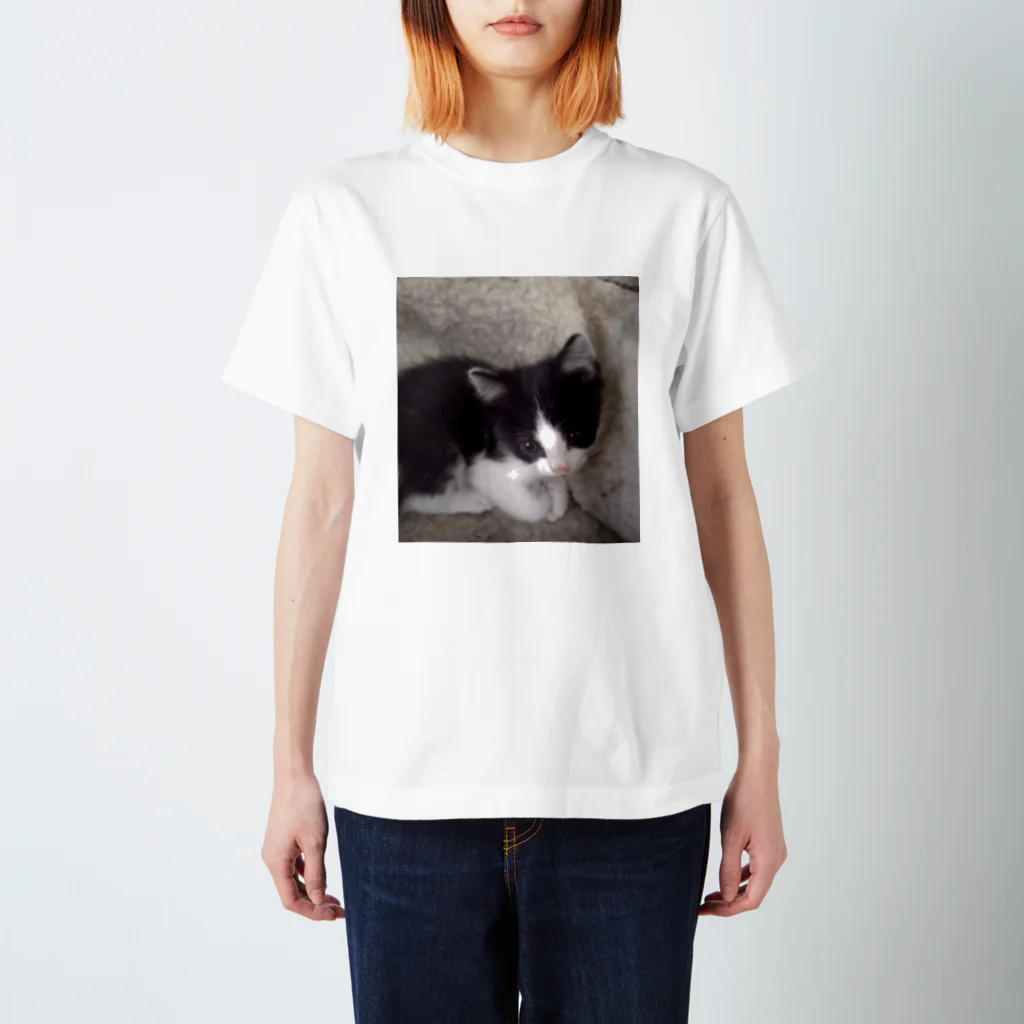 みーのお部屋 のおすまし猫 テールくん Regular Fit T-Shirt