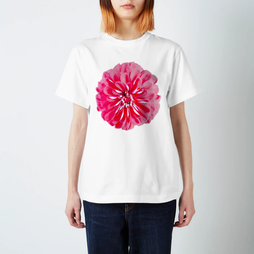 花水の花の紅いドレス スタンダードTシャツ