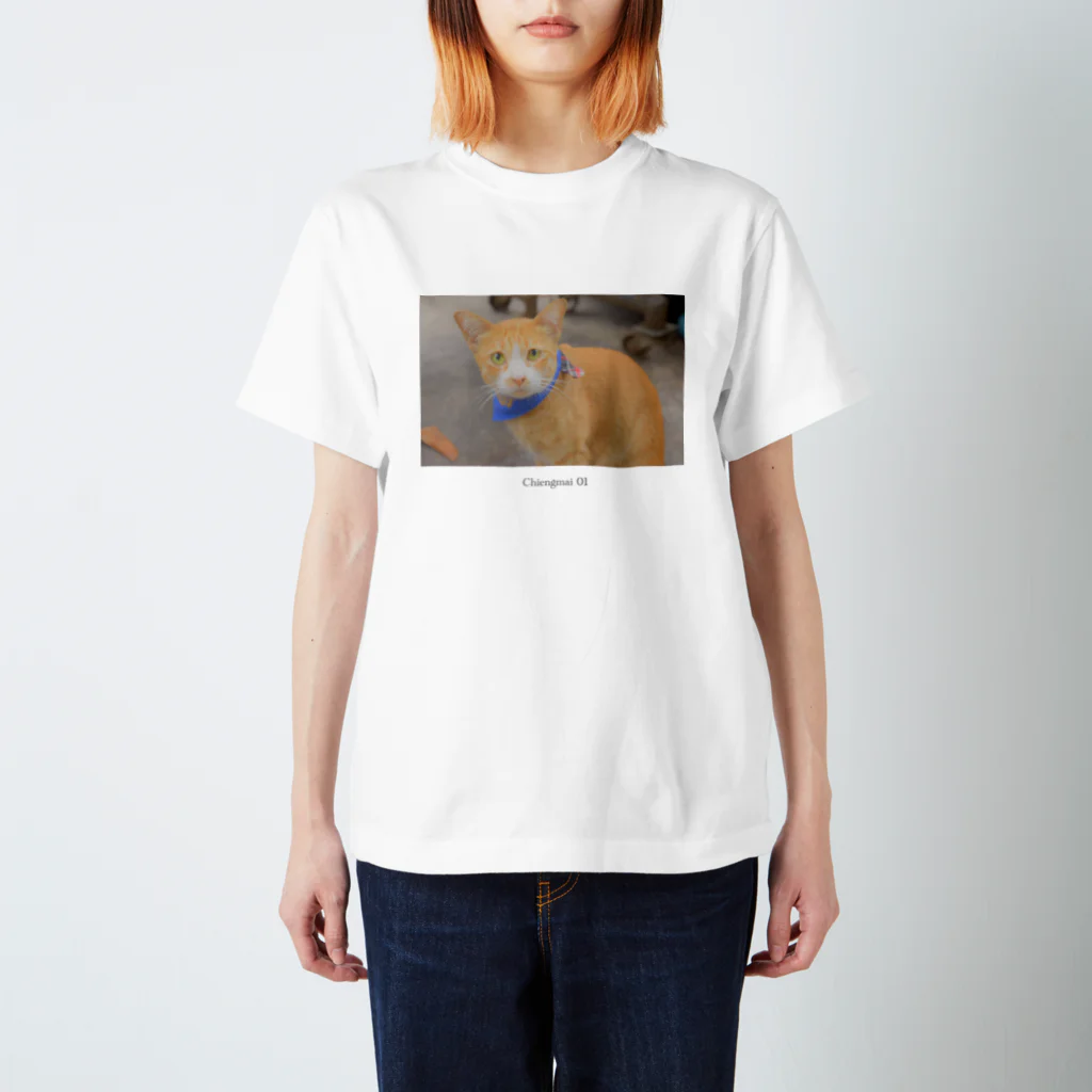 旅ごころのChiengmai 01 / cat スタンダードTシャツ