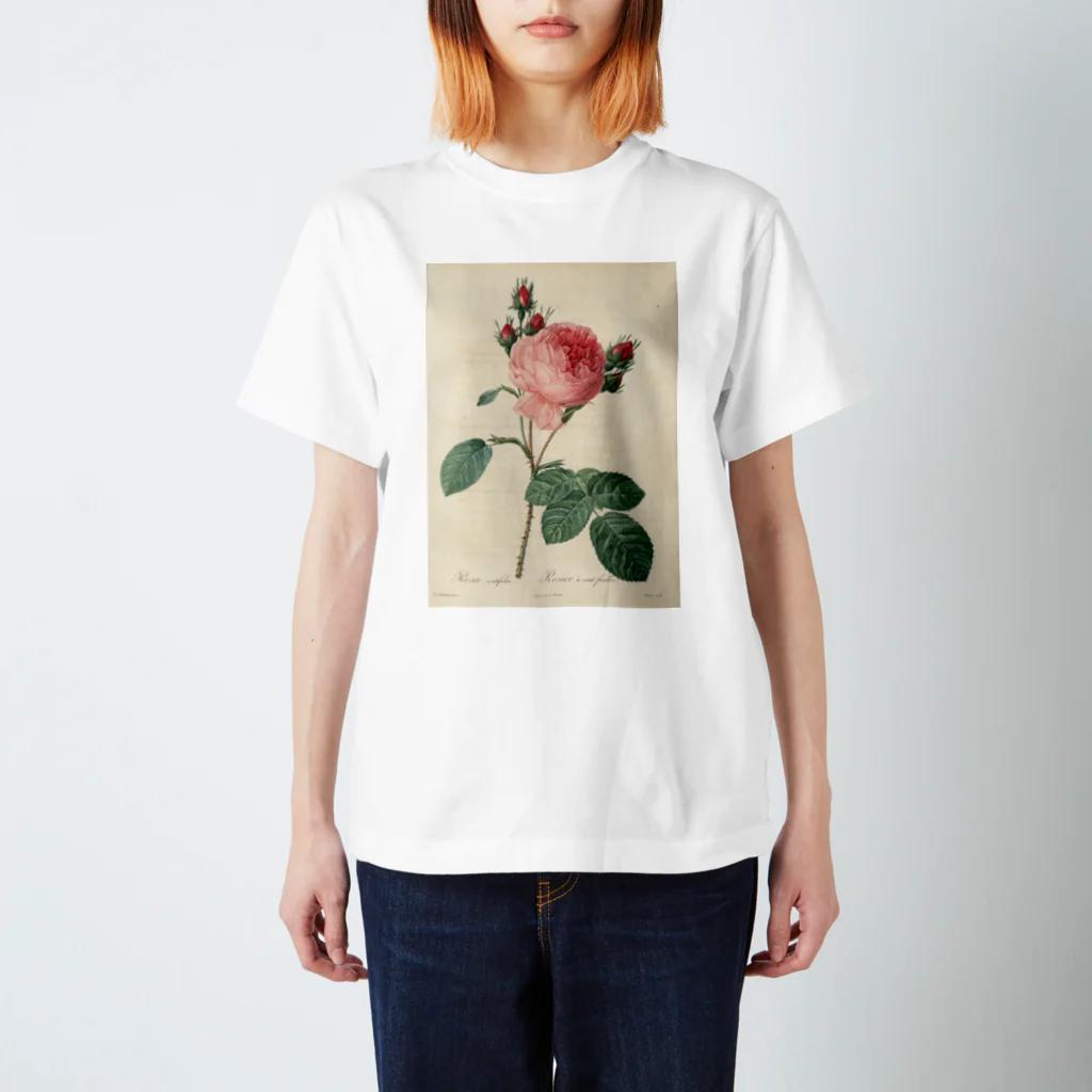 J. Jeffery Print Galleryのルドゥーテ「バラ図譜」 Regular Fit T-Shirt