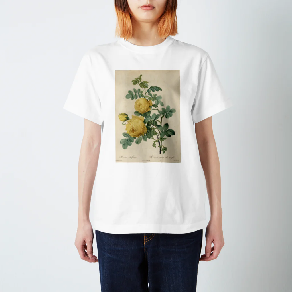 J. Jeffery Print Galleryのルドゥーテ「バラ図譜」 Regular Fit T-Shirt