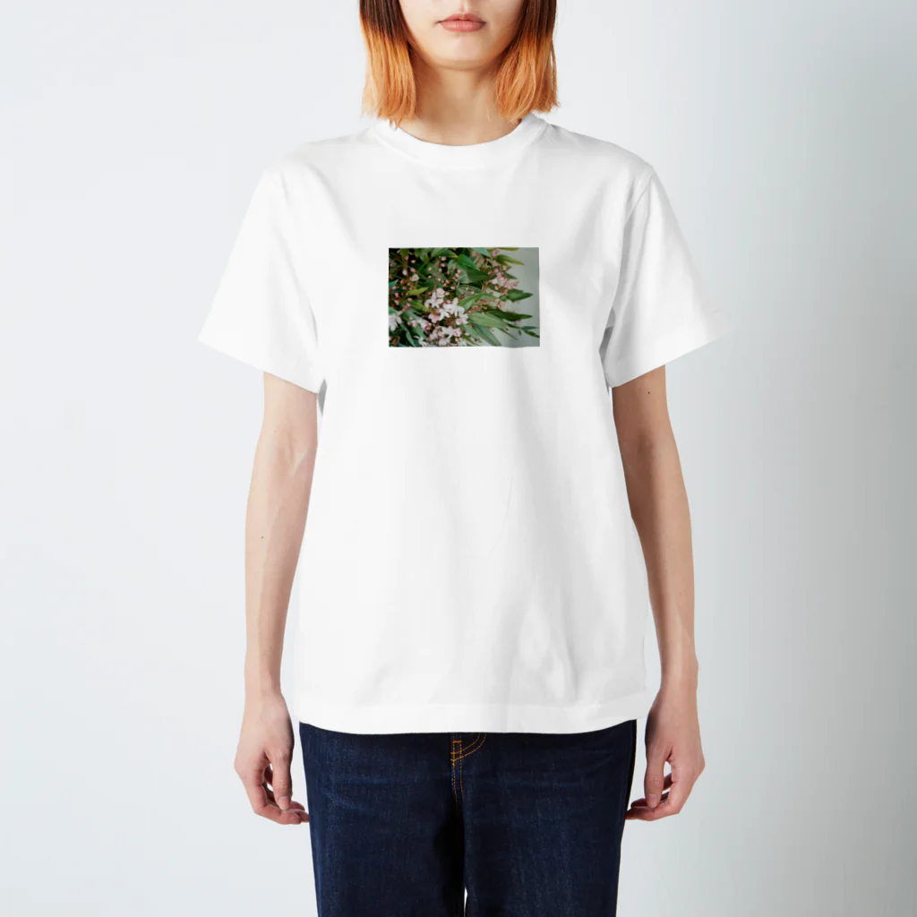 内田紗世の四谷三丁目の花 スタンダードTシャツ