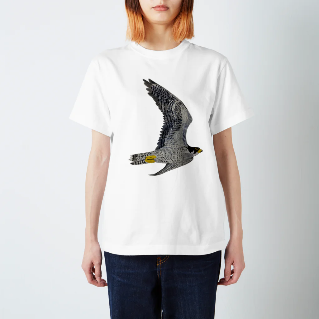 Coshi-Mild-Wildのハヤブサですよ🦅 スタンダードTシャツ