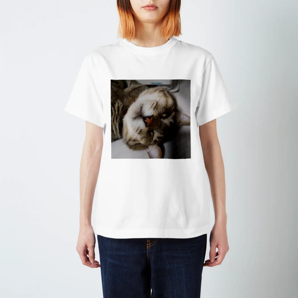 shop/jinショップジンのおでぶ猫こころくん Regular Fit T-Shirt