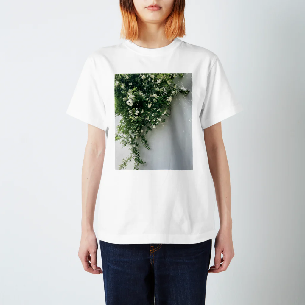 ampluieの木香薔薇 Regular Fit T-Shirt